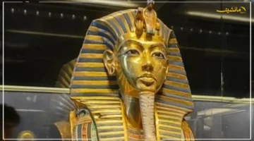 قرار جديد.. غلق قاعة توت عنخ آمون بالمتحف المصري بالتحرير هكذا تنتقل آخر مقتنياتها إلى الكبير 1